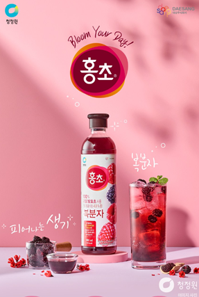 청정원 홍초 복분자, 900ml, 4개 -> 21,350원 58%할인